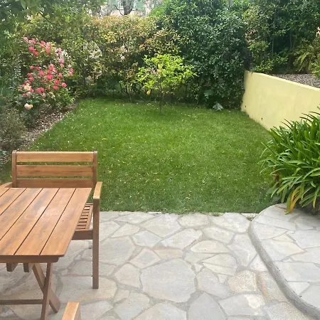 Appt Avec Jardin Et Clim Proche Arènes De Cimiez Appartement
