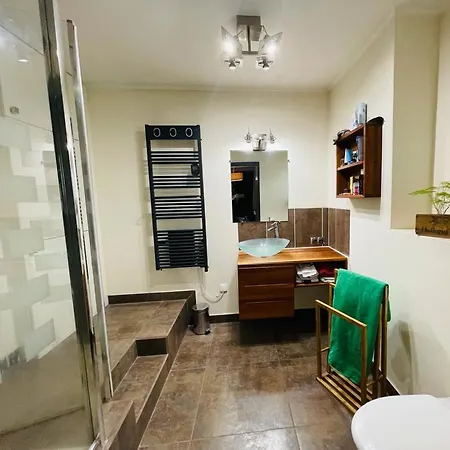 Appartement Appt Avec Jardin Et Clim Proche Arènes De Cimiez *